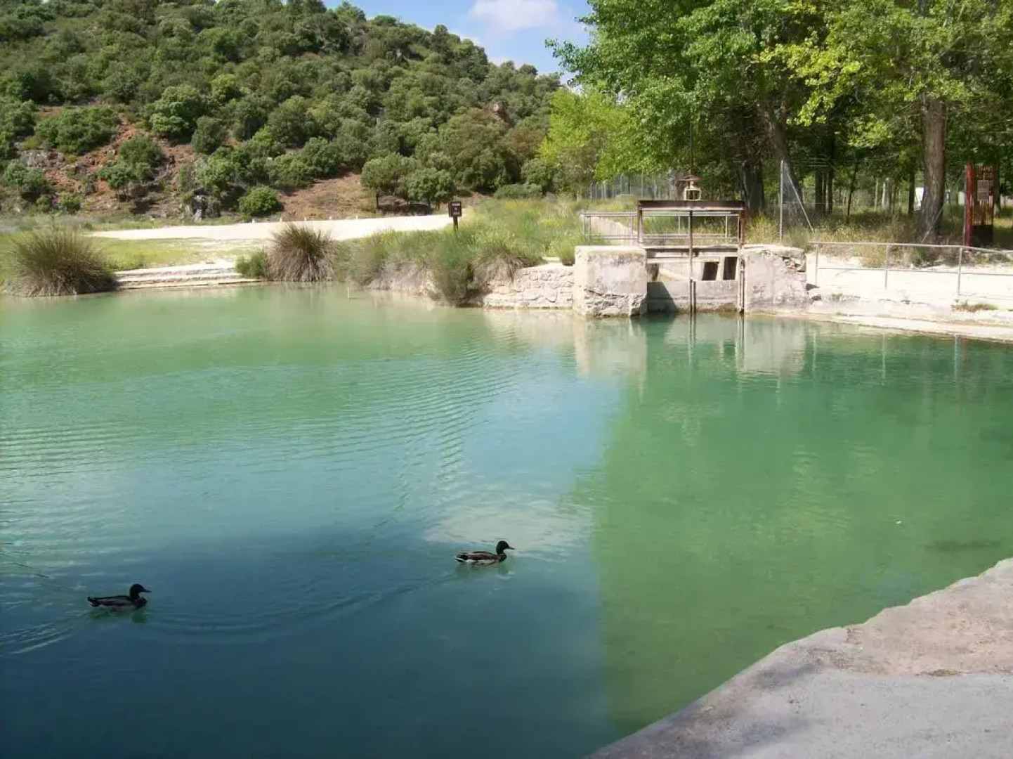 Casas Rurales el Palomar