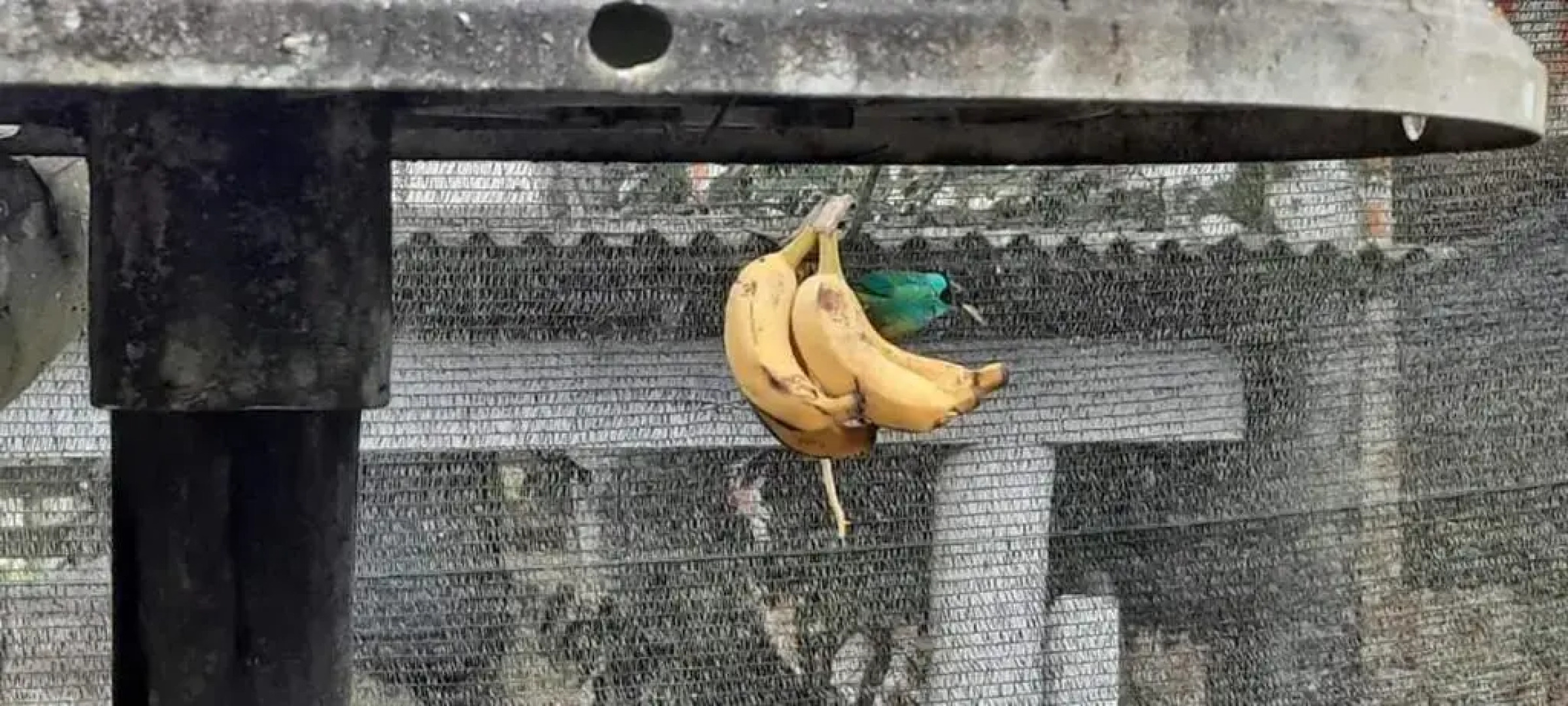 Quarto Suíte Itapoá - SC