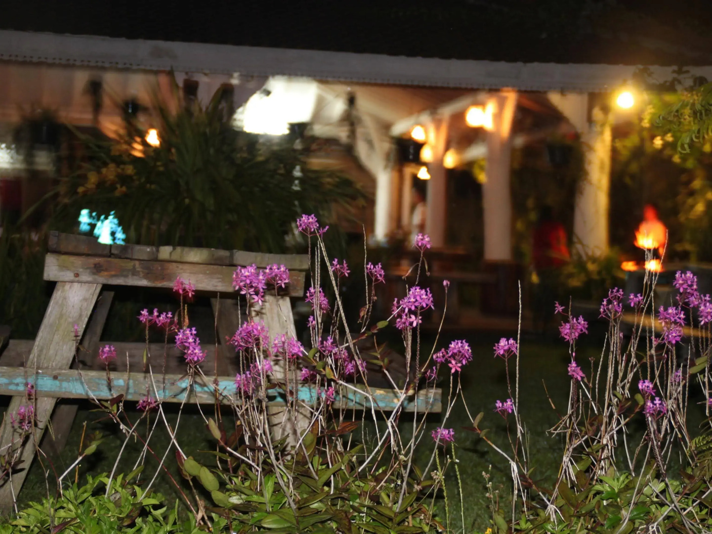 Warung Rekreasi Bedugul Hotel