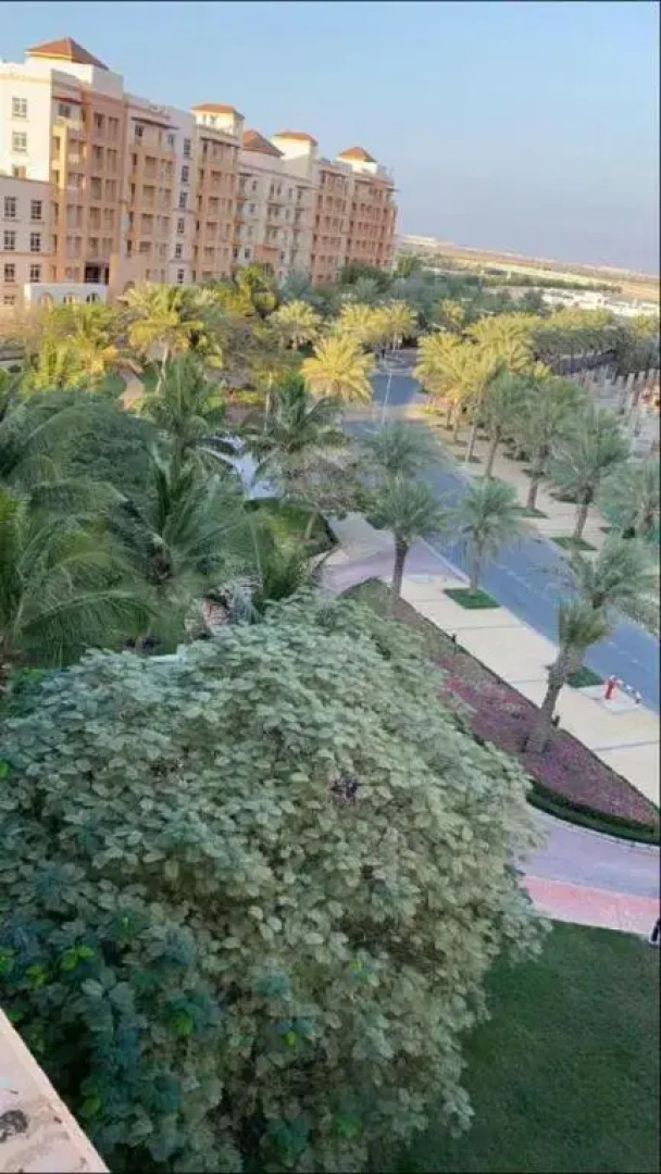 أستديو توليب مارينا الفندقي