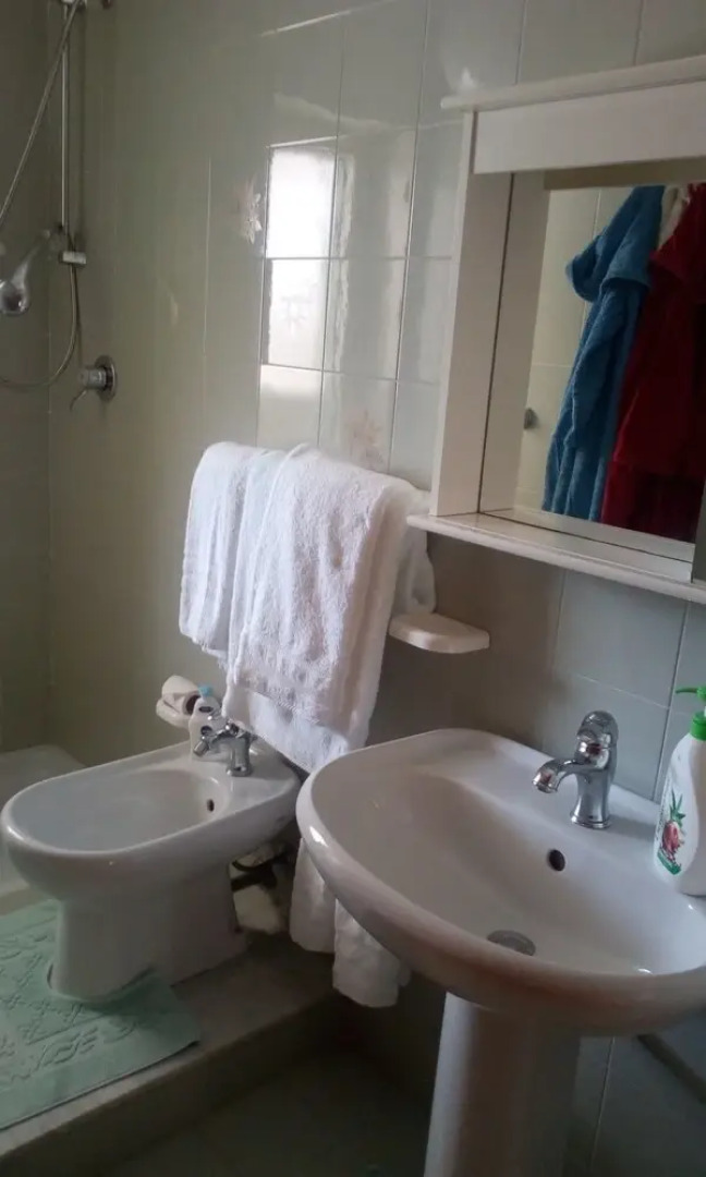 Anemone della Scala dei Turchi