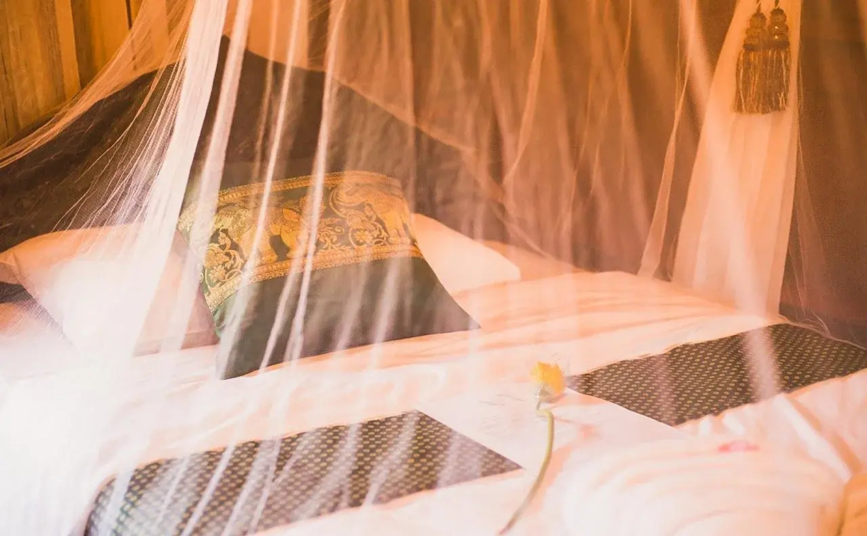 The Antique Riverside