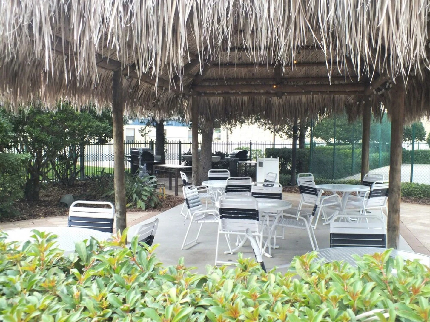 Lexington Vacations Kiss by Stark Hosp