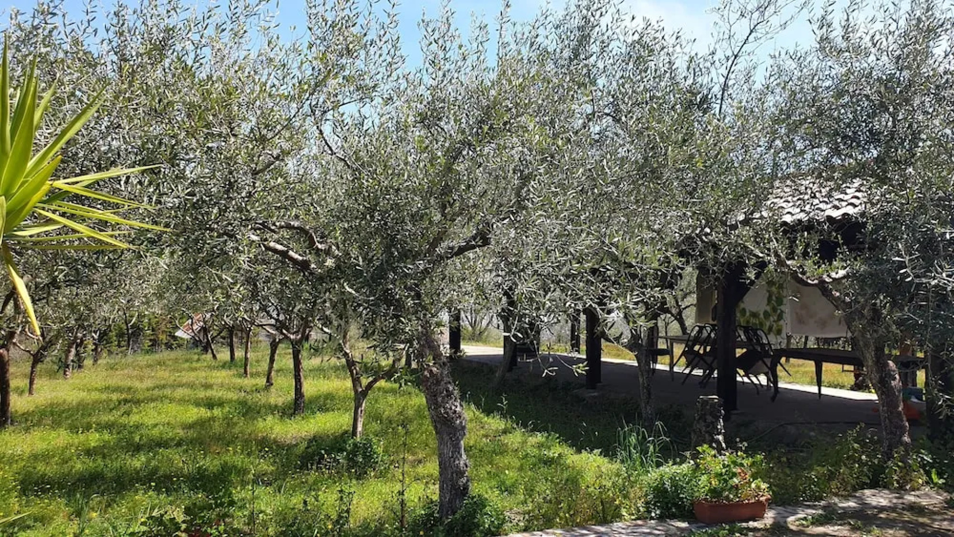 Room-apartment Pompeii Rendine