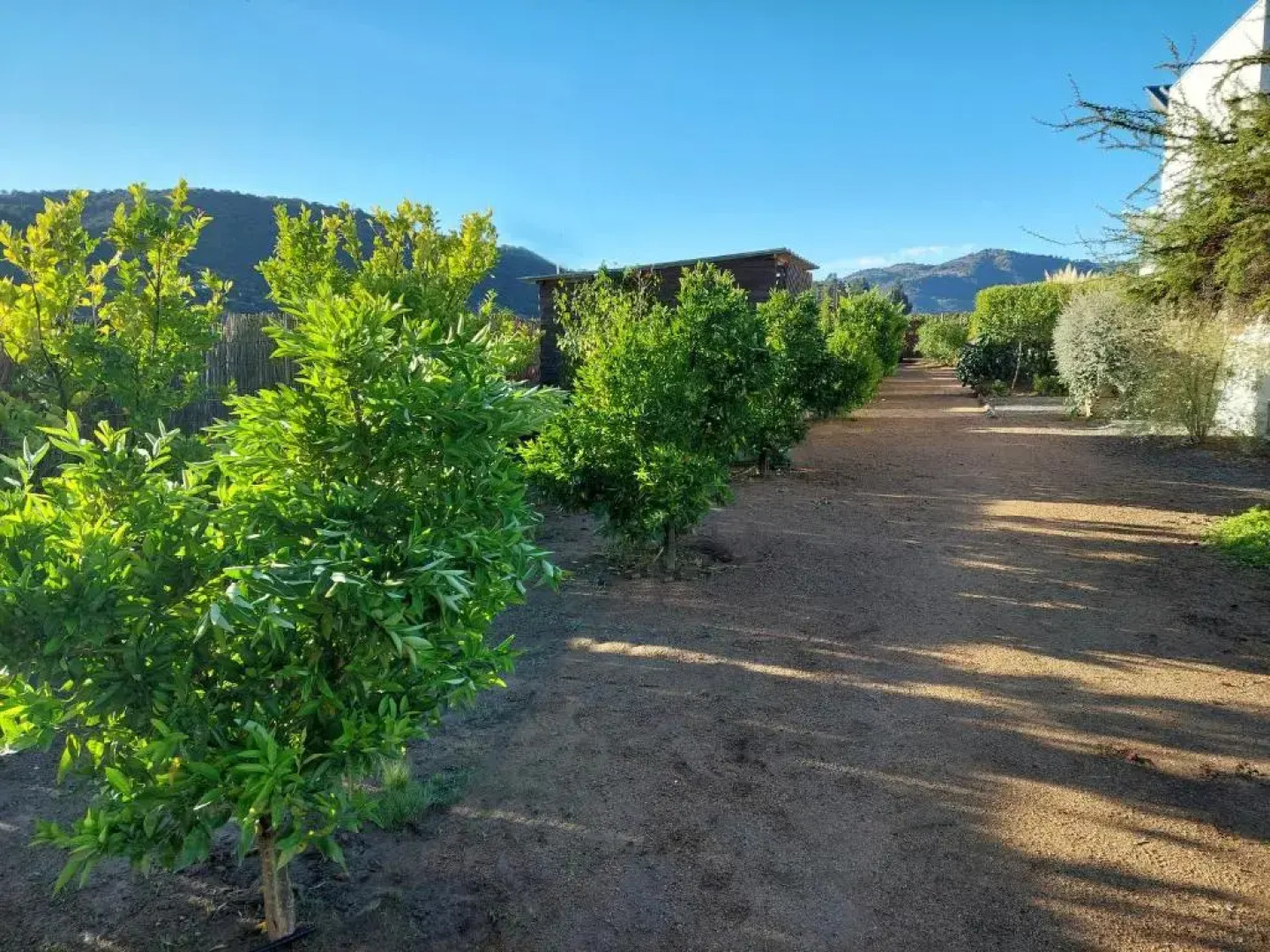 Callihue de Colchagua Lodge
