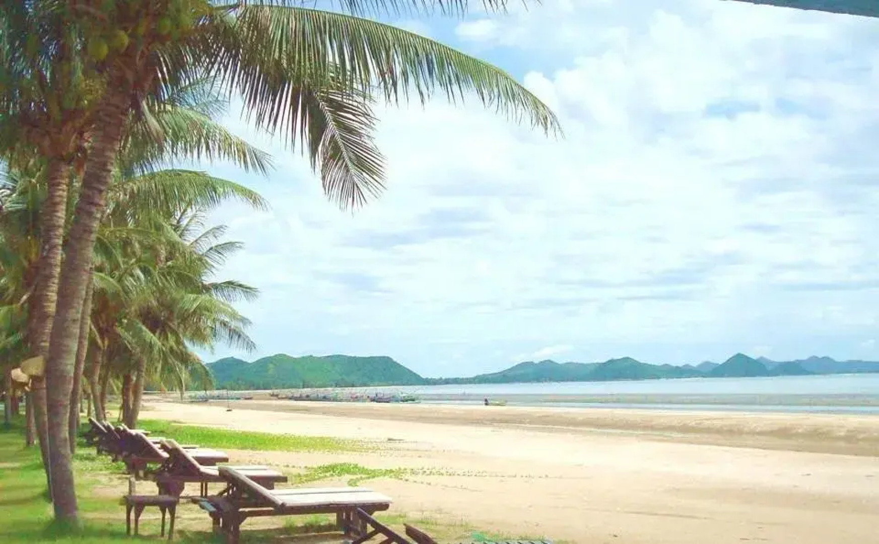 Terra Selisa - Dolphin Beach