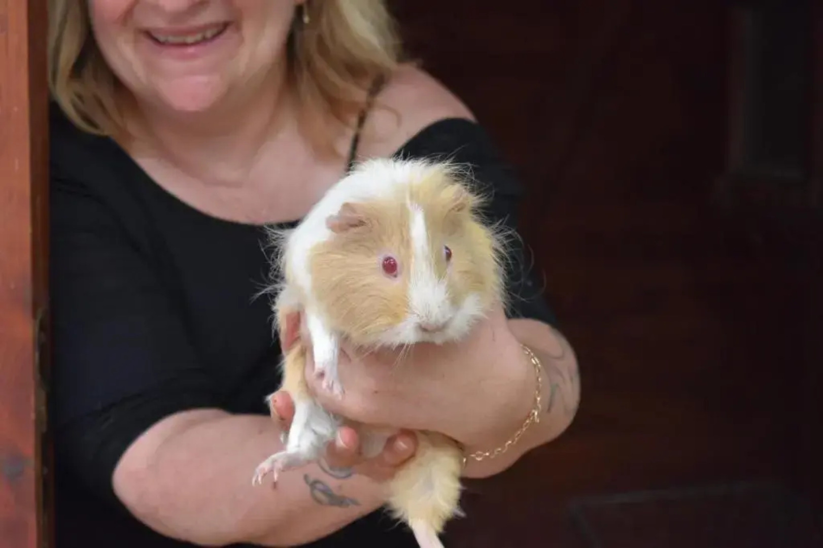 fattoria country village