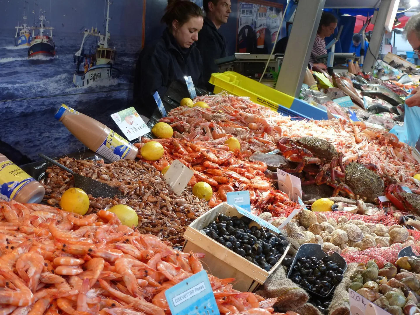 Semi-detached House, Brehal