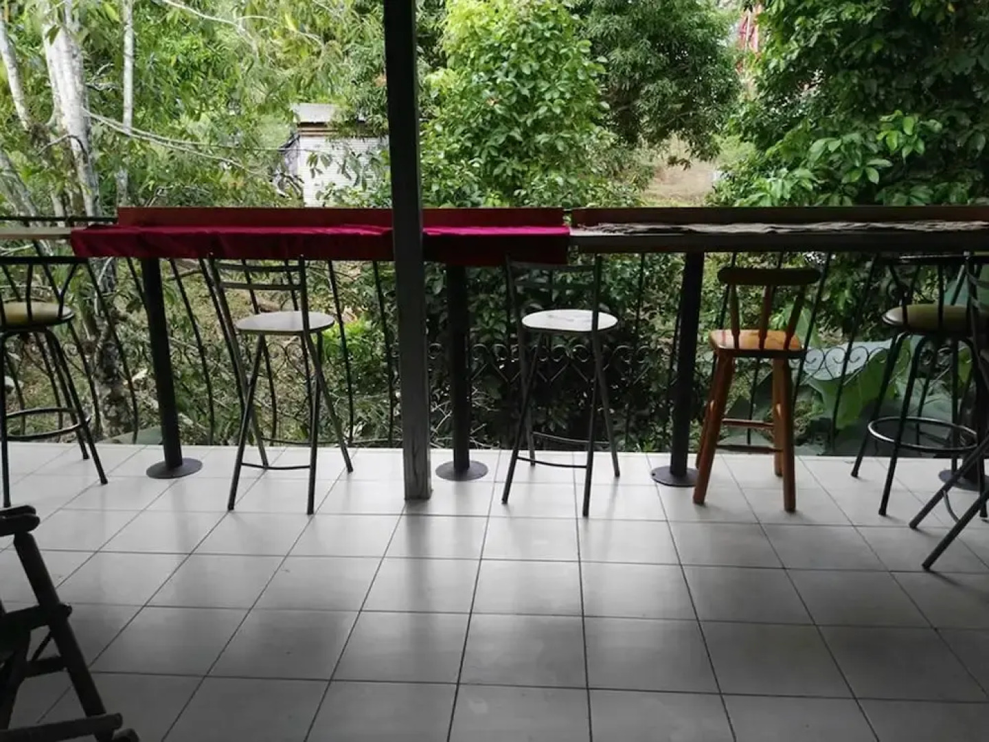 Blue Morpho House B&B