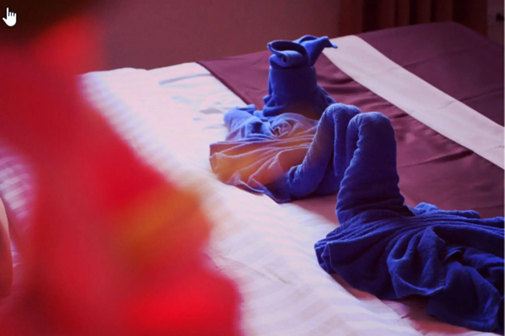 Tropical Sands Guesthouse