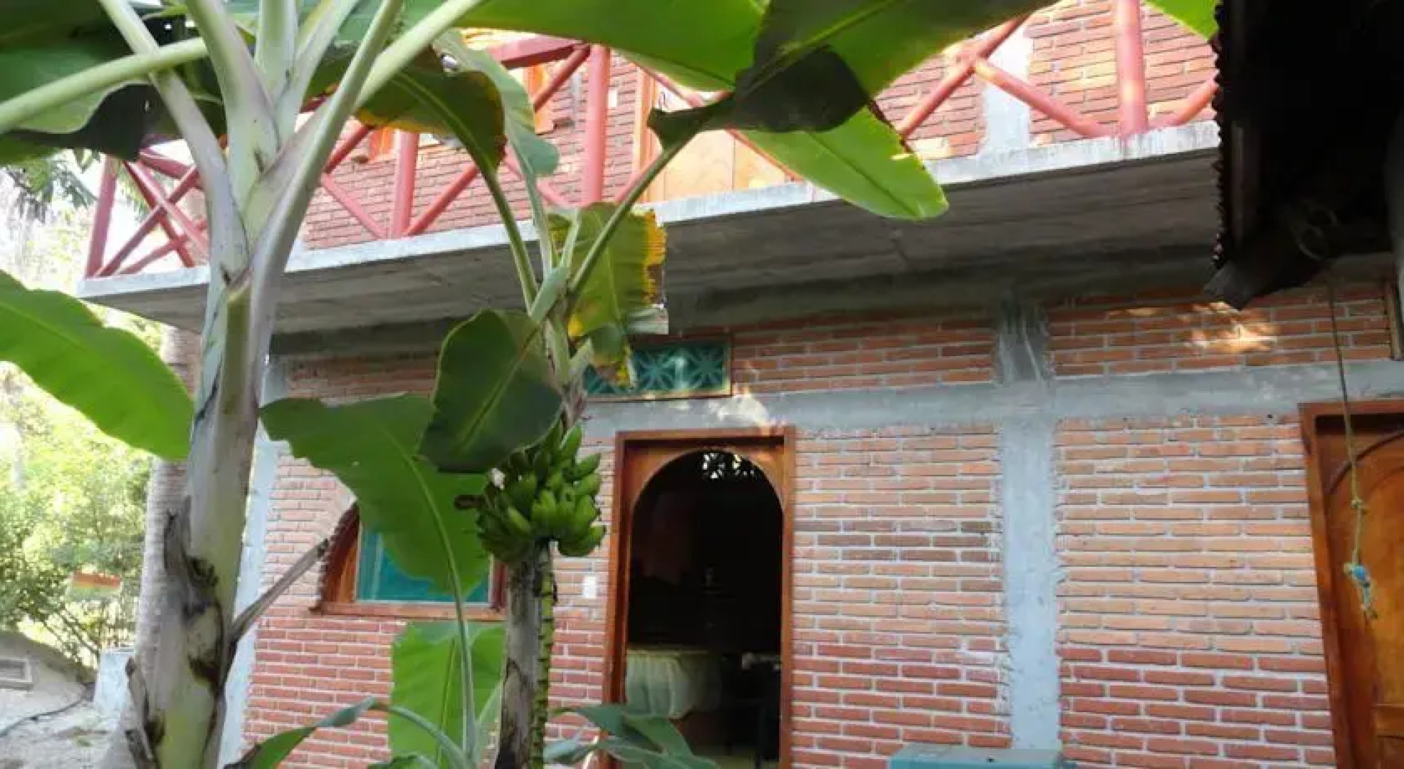 El Edén del Manglar