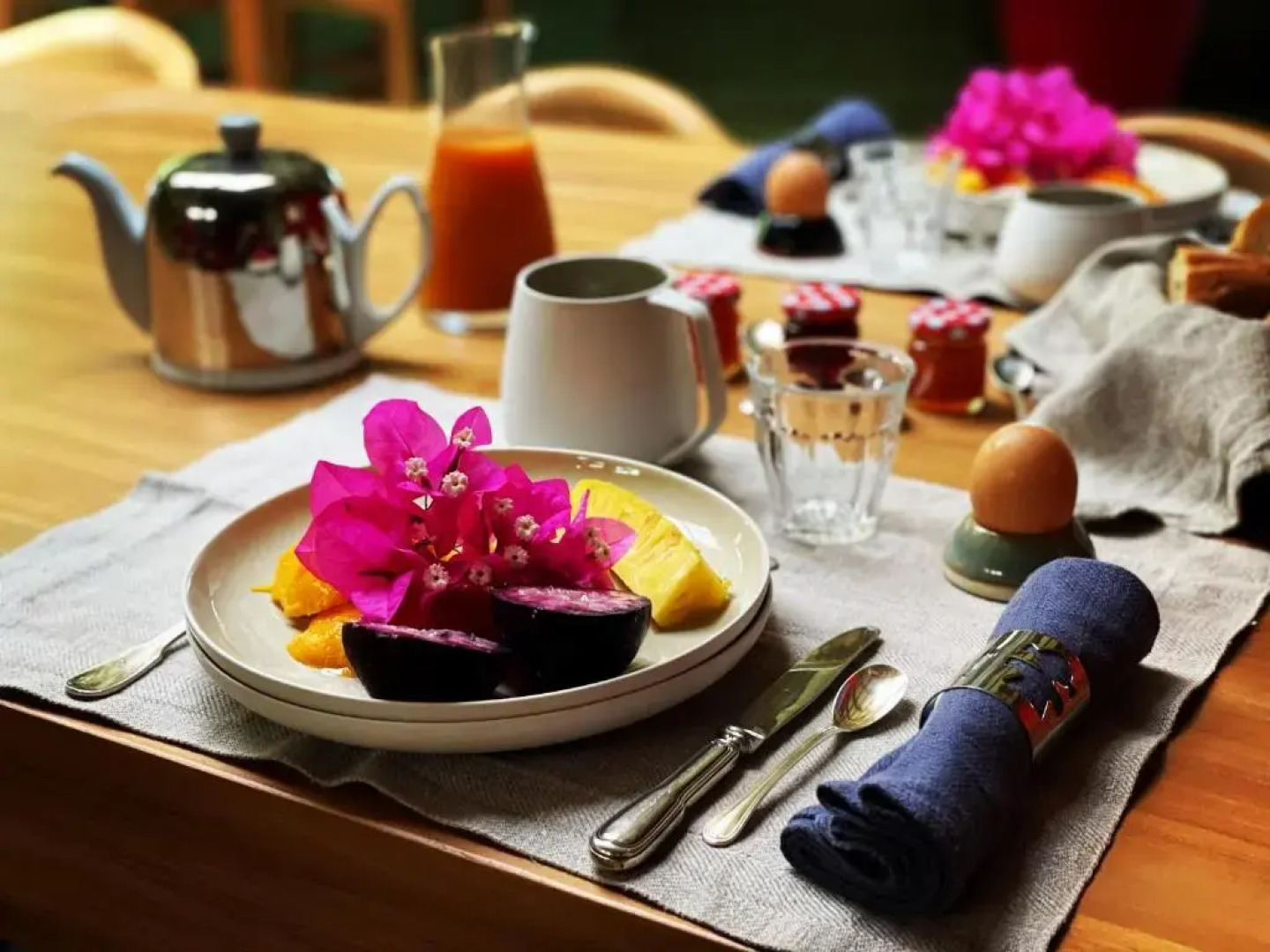 Habitation Caféière Samana Beauséjour