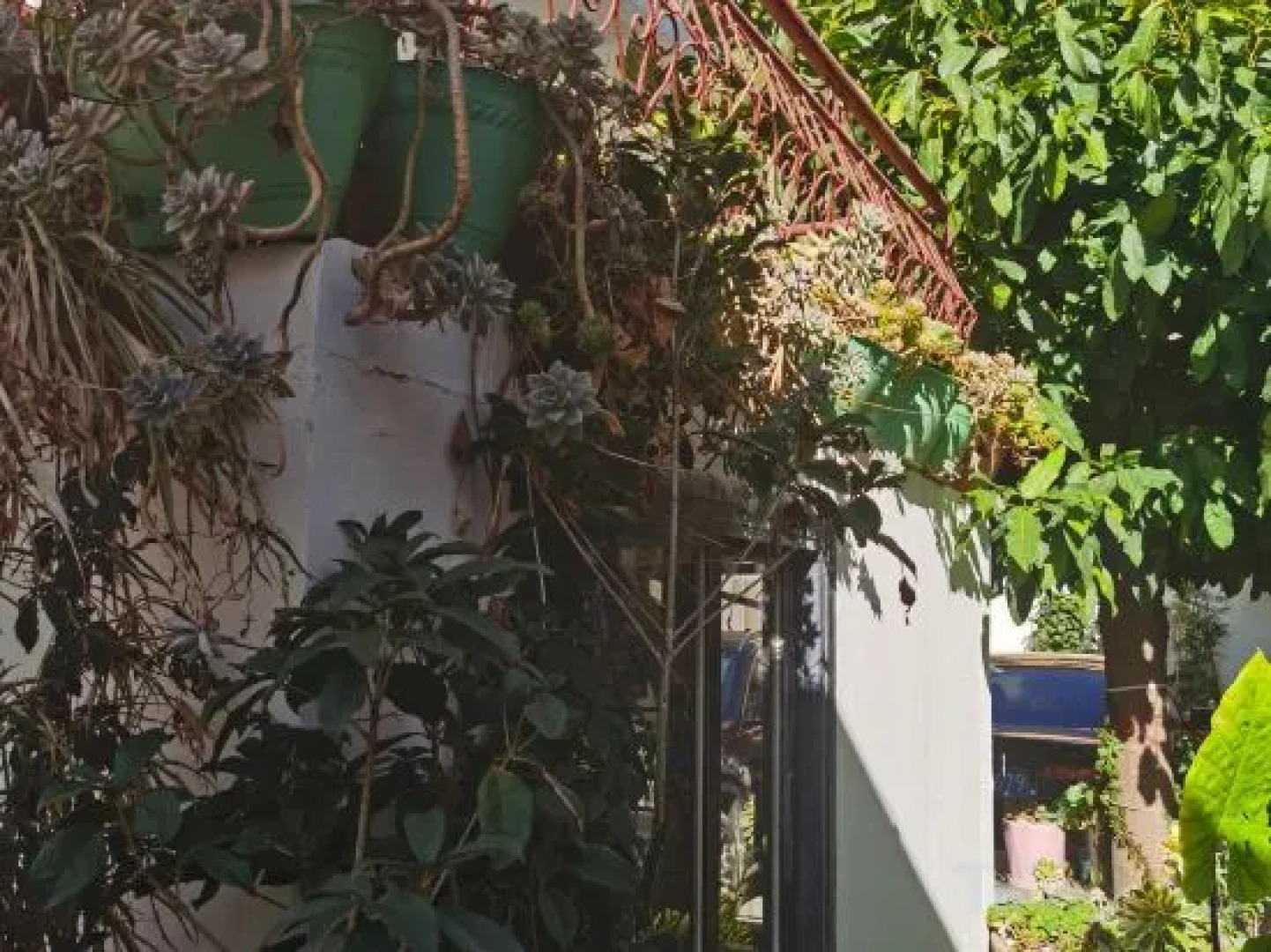 Weishan Longxi  HOTEL