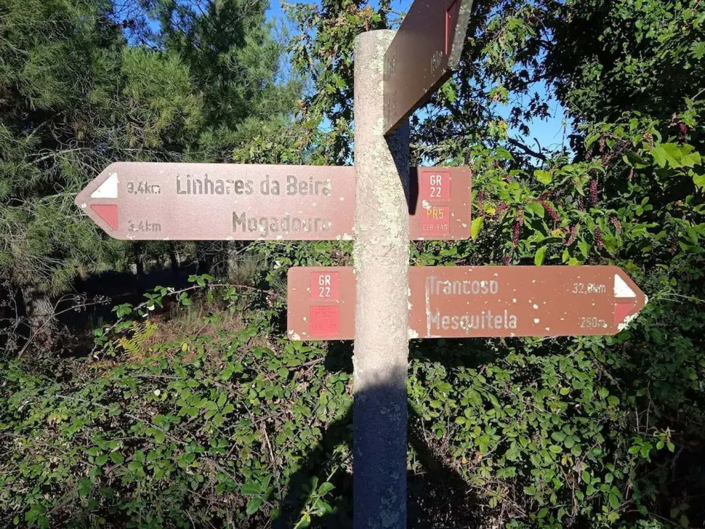 Rustic Terrace2 Bedrooms Farm House