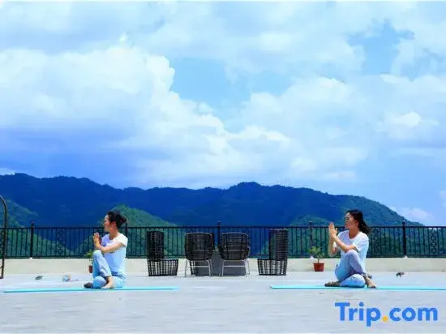 Arcadia International Forest Hotel