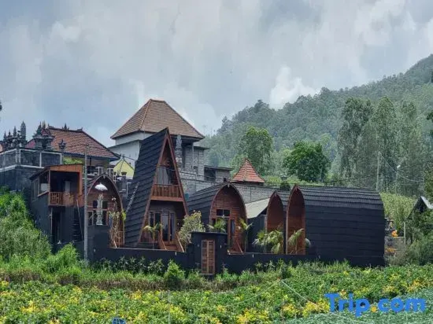 Umah Nanda