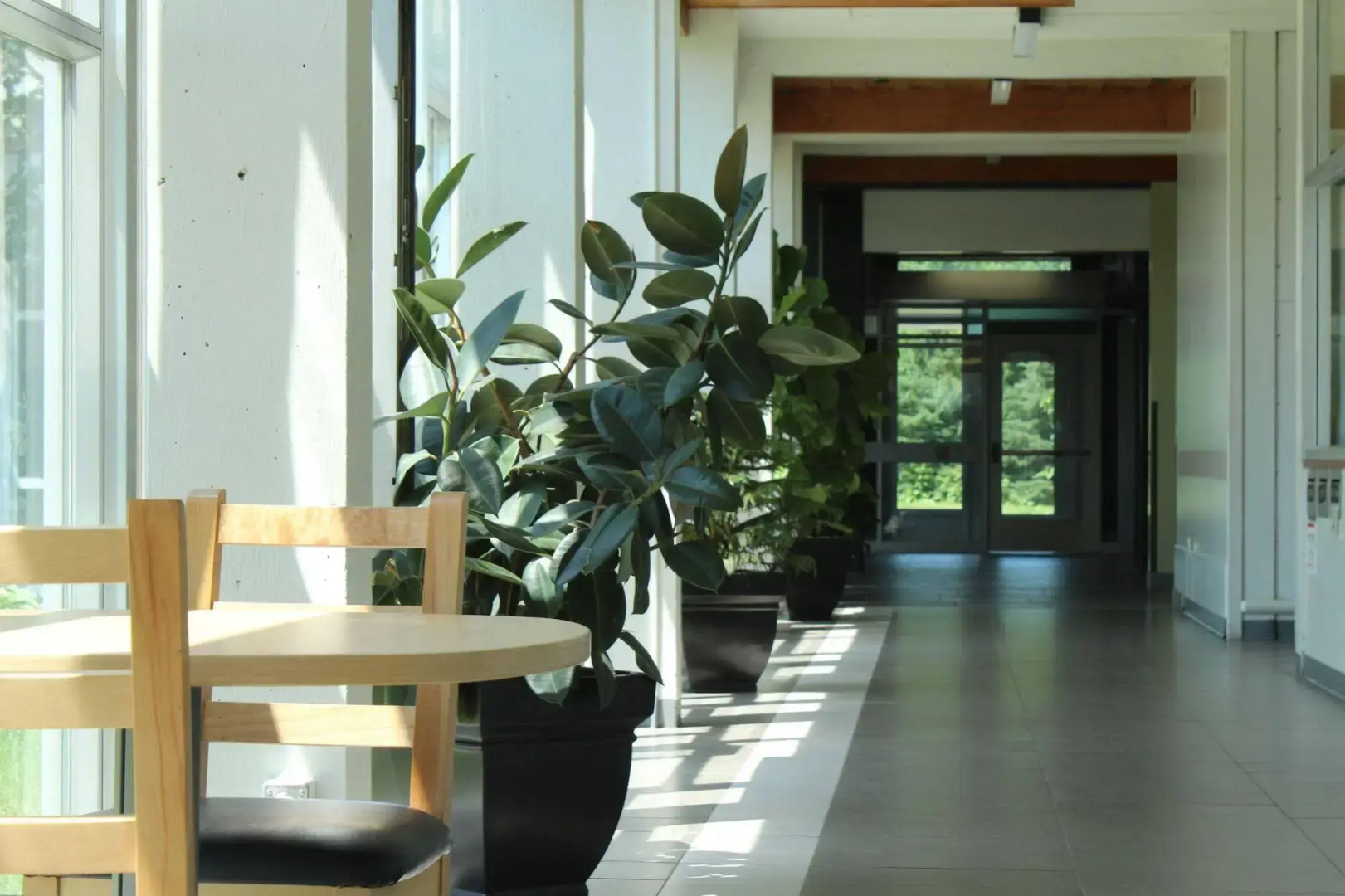 Residences Université Laval - Campus Accommodation