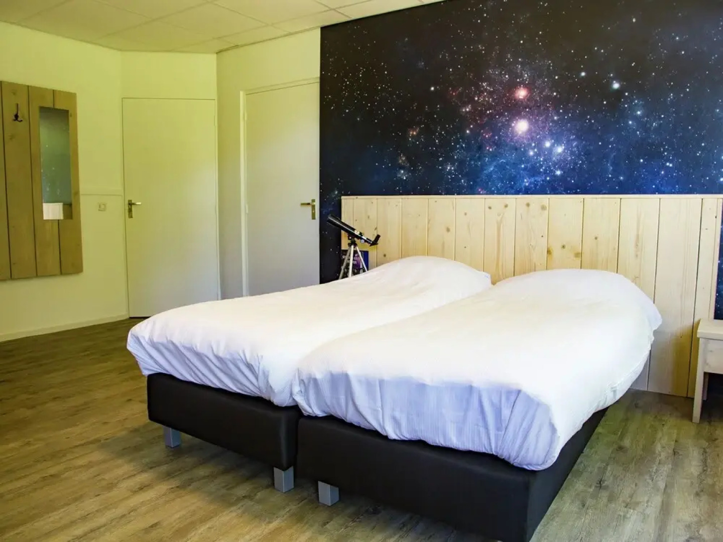 Group Accommodation Near Assen With Barbecue and Fireplace