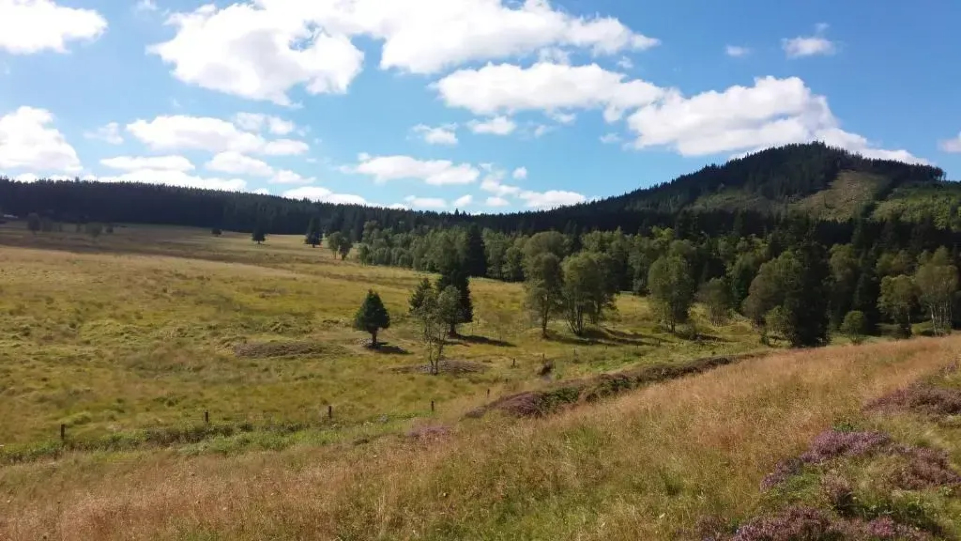 Apartmány U Šakala