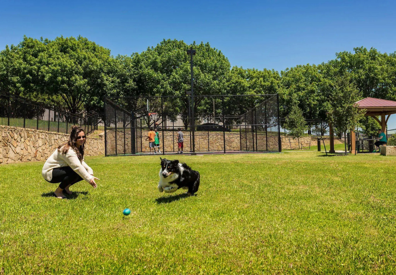 TownePlace Suites by Marriott Dallas Lewisville