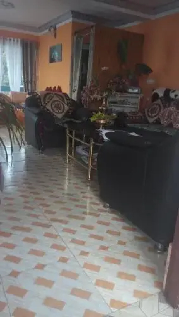 Vamoosetrail Singell