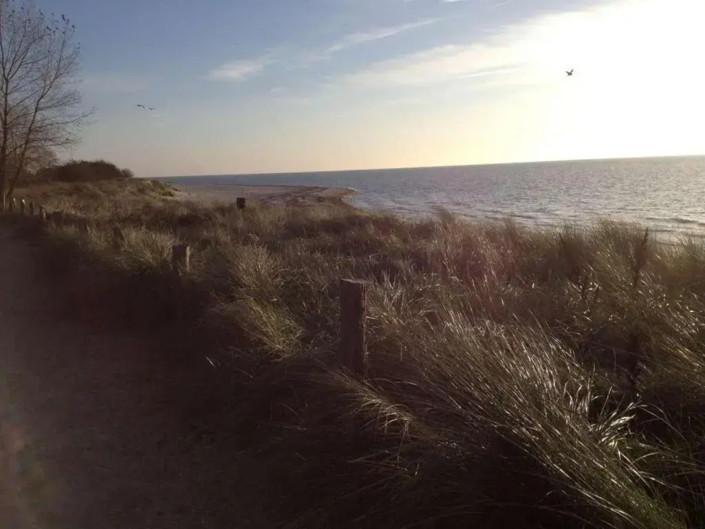 Feriendorf Südstrand Haus 23