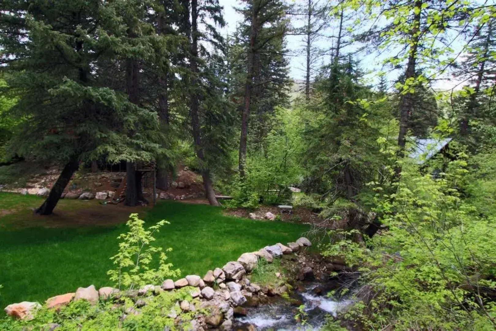 Treehouse On The Stream