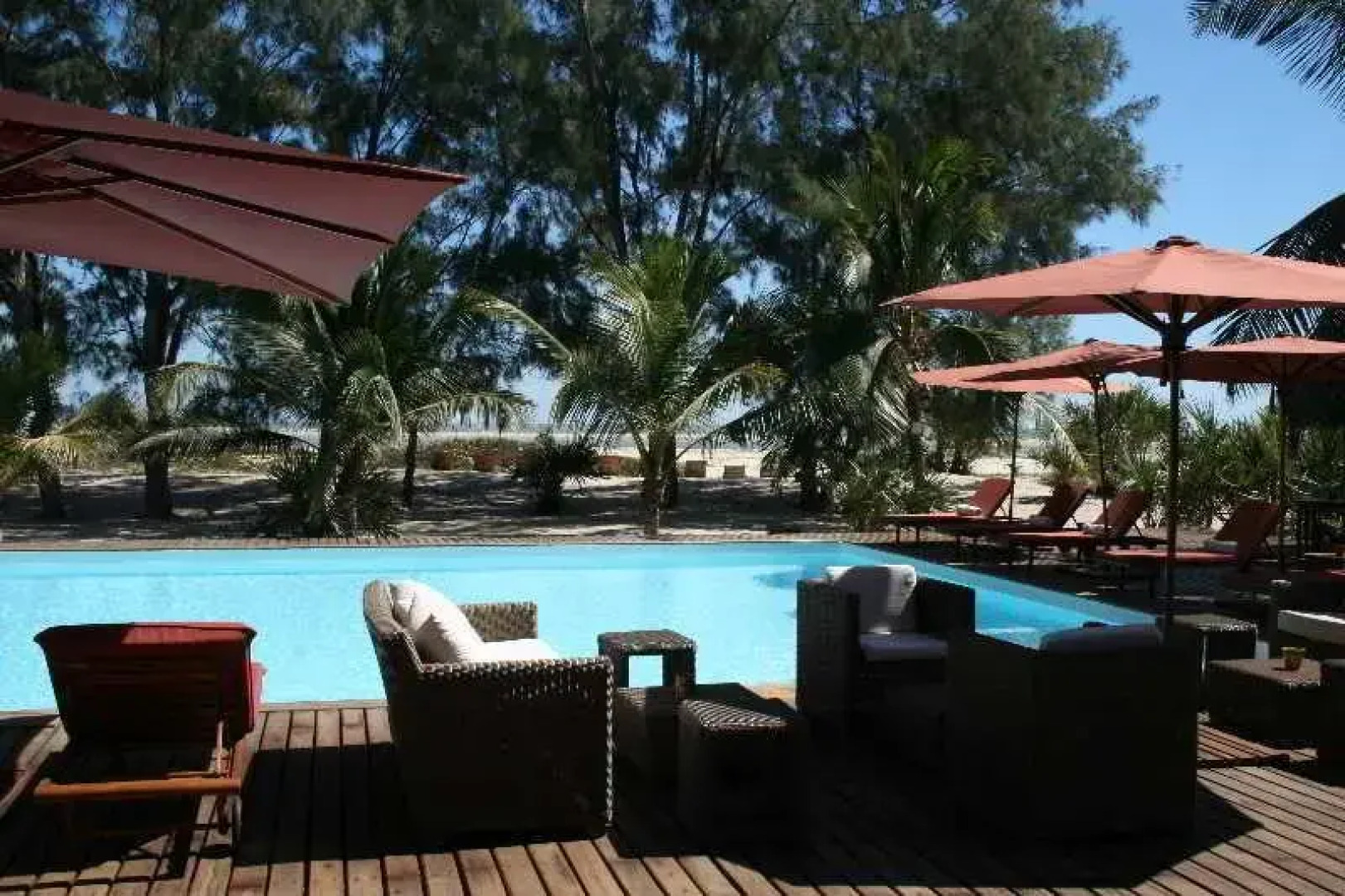 Palissandre Côte Ouest