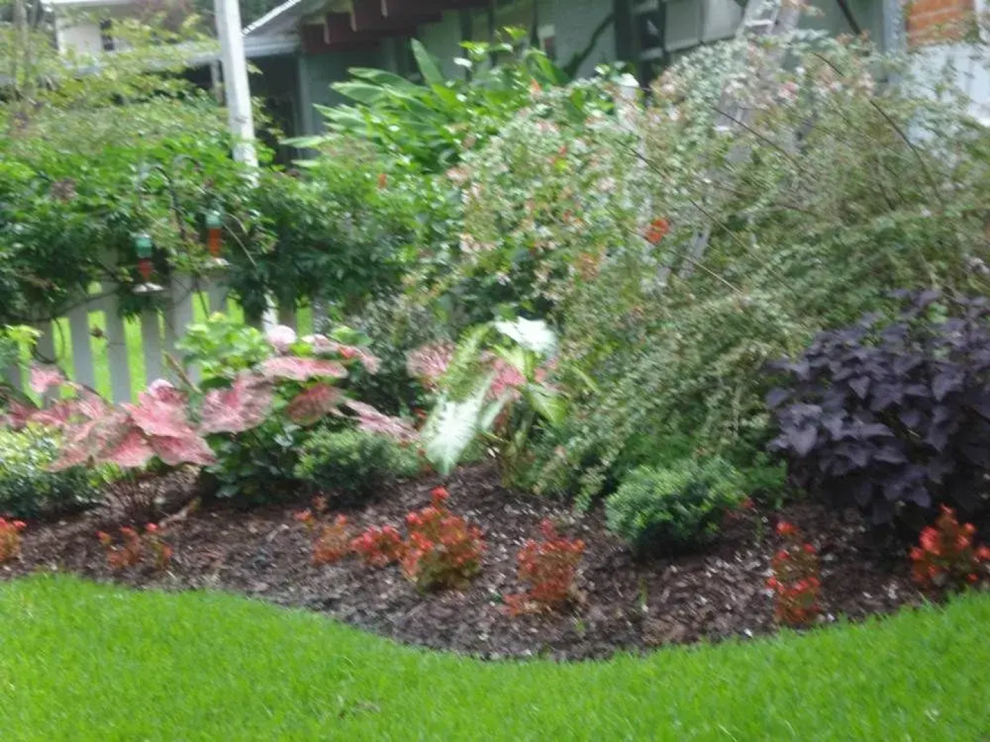 Old Castillo Bed and Breakfast