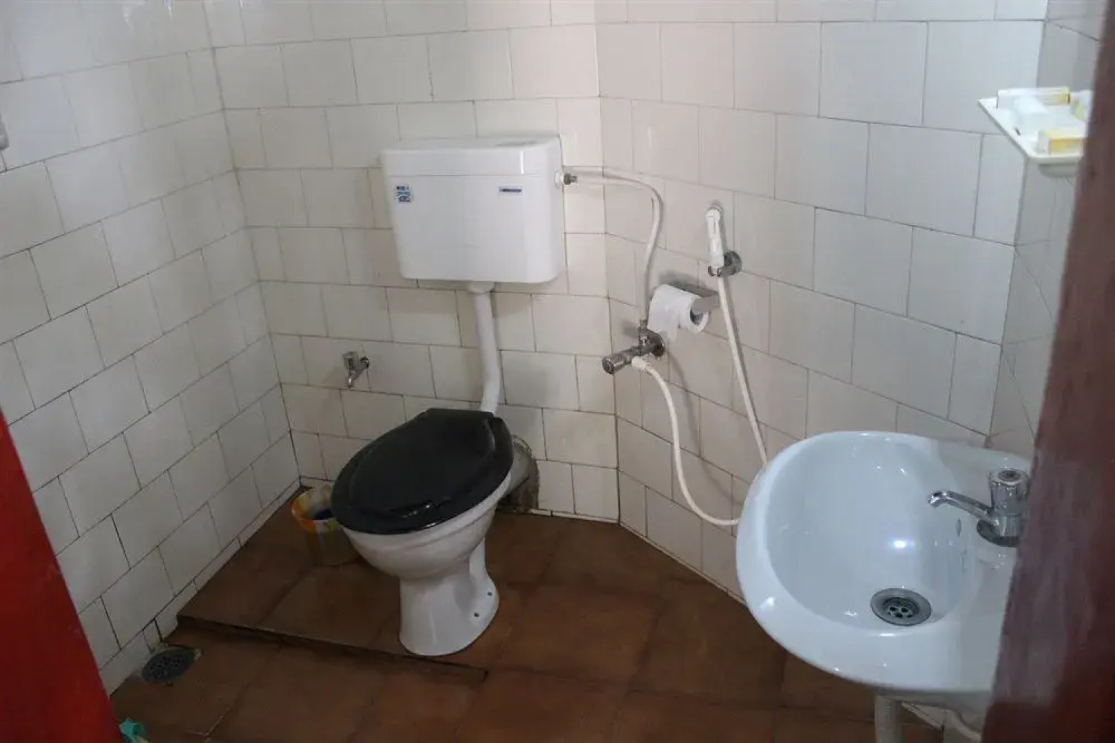 jüSTa Turtlebay on Sea