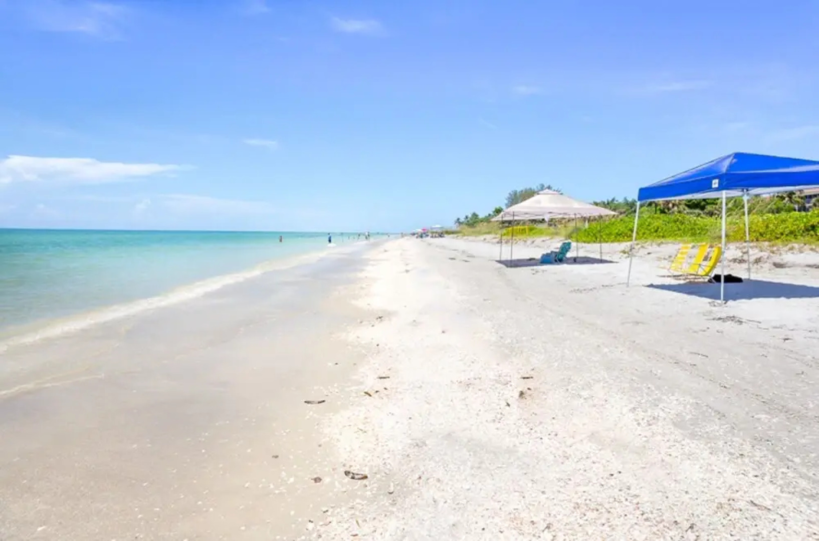 Island Beach Club 230D