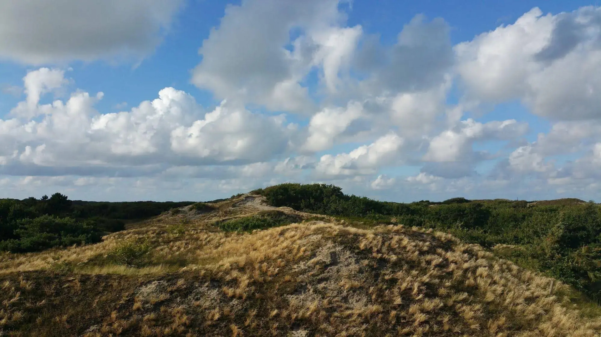 Spiekerooger Leidenschaft