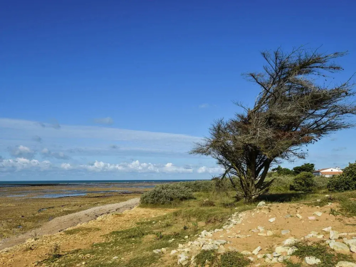Modern Holiday Home in Sainte-Marie-de-Re near Sea