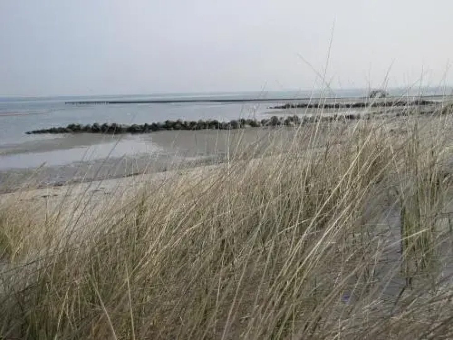 Steiner Strandappartements Appartement 304 Seeseite