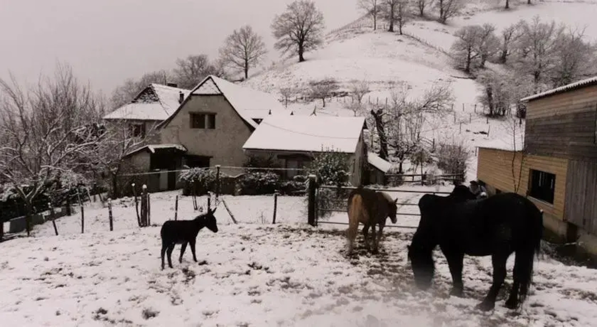 Ibaremborde : Gîte des Pyrénées