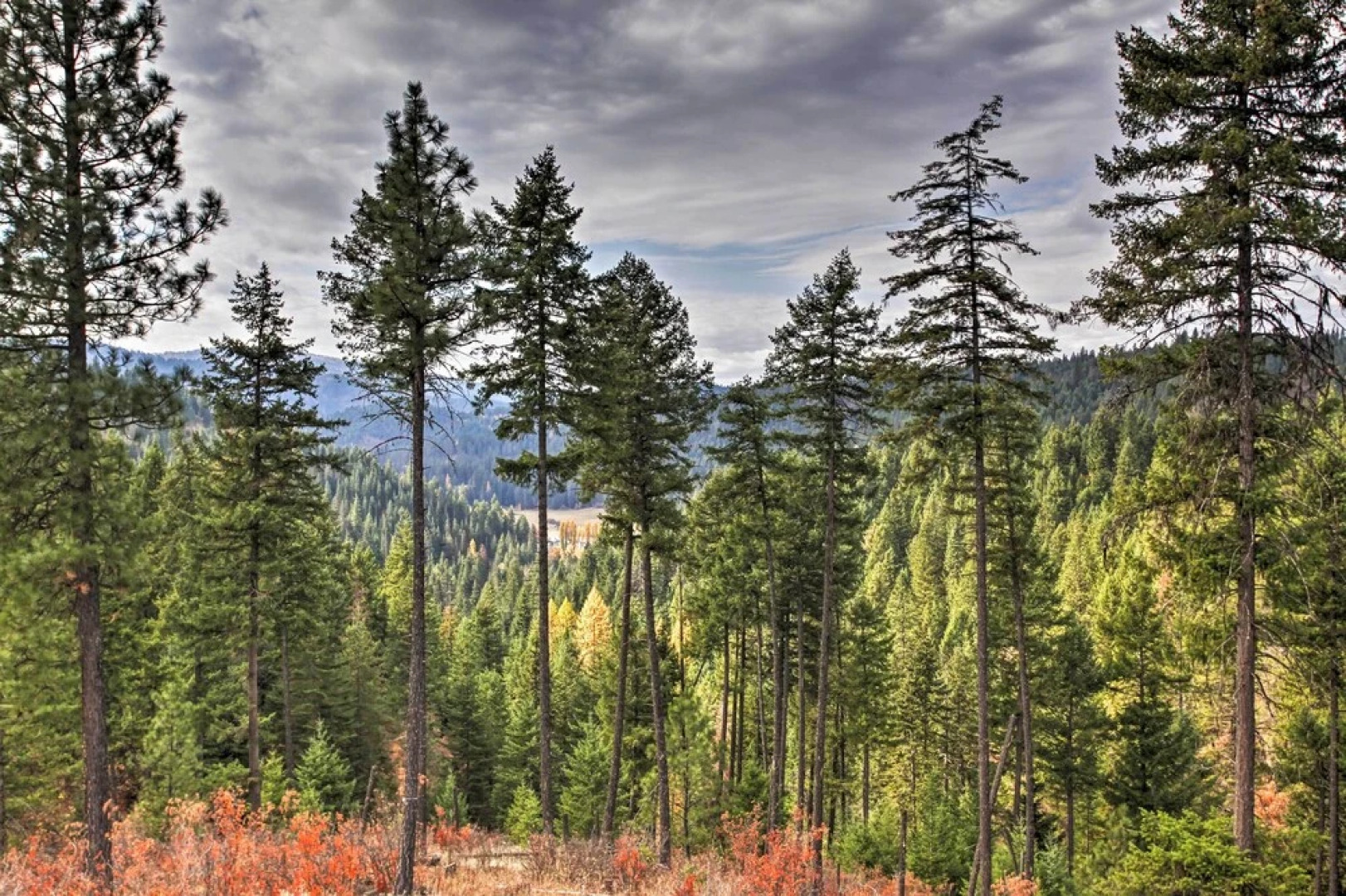 Unique 40 Acre Nature Retreat w/ Trails & Views!