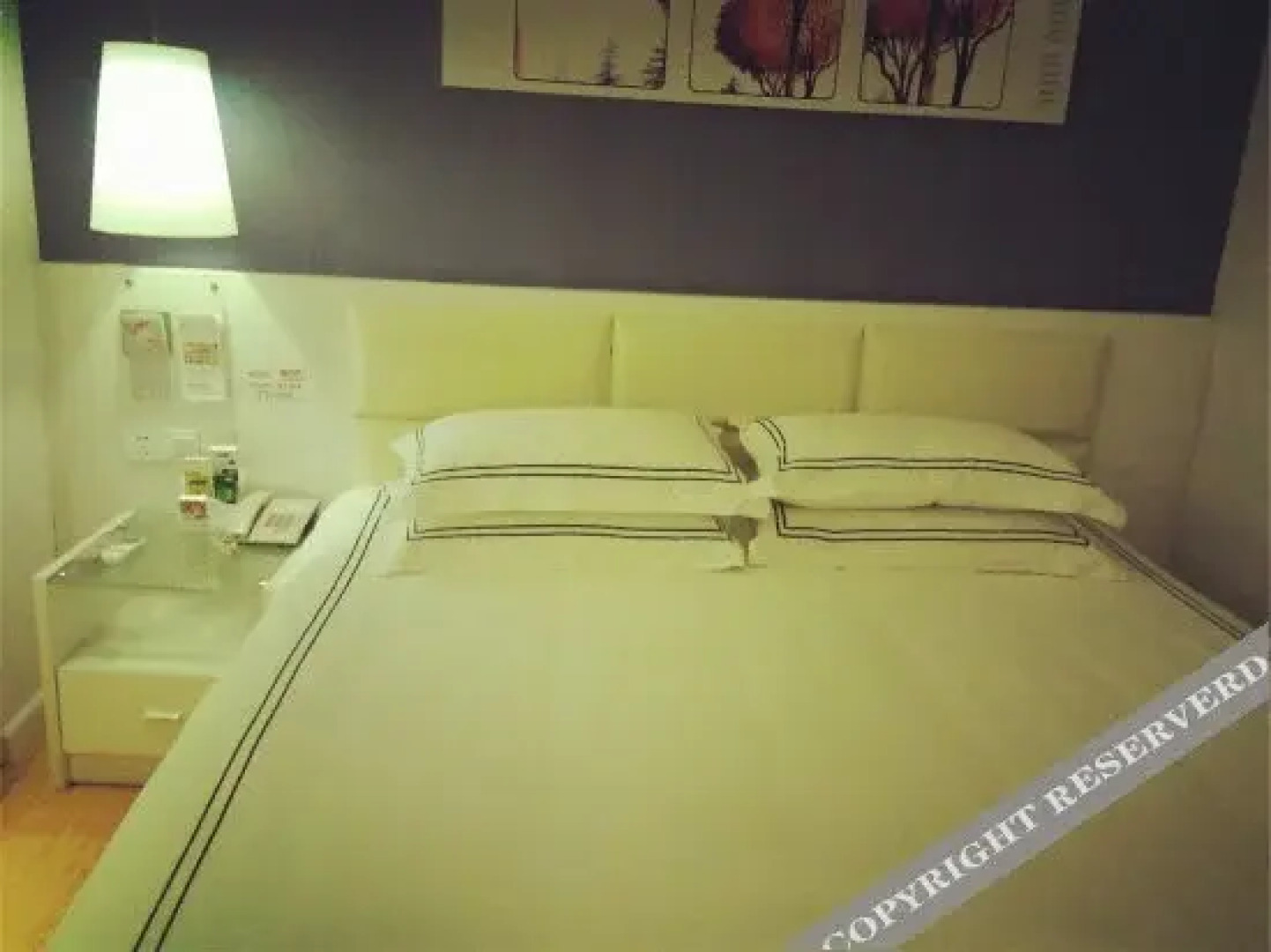 Wucai Jintian Hotel Yiyang Nanzhou Road