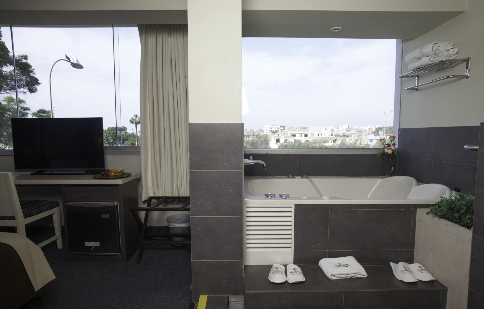 Palmetto Hotel Business San Miguel