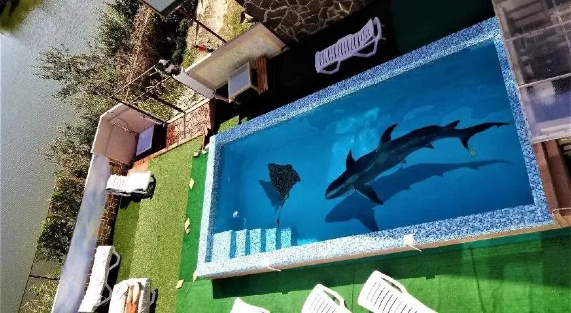 АзовСафаре