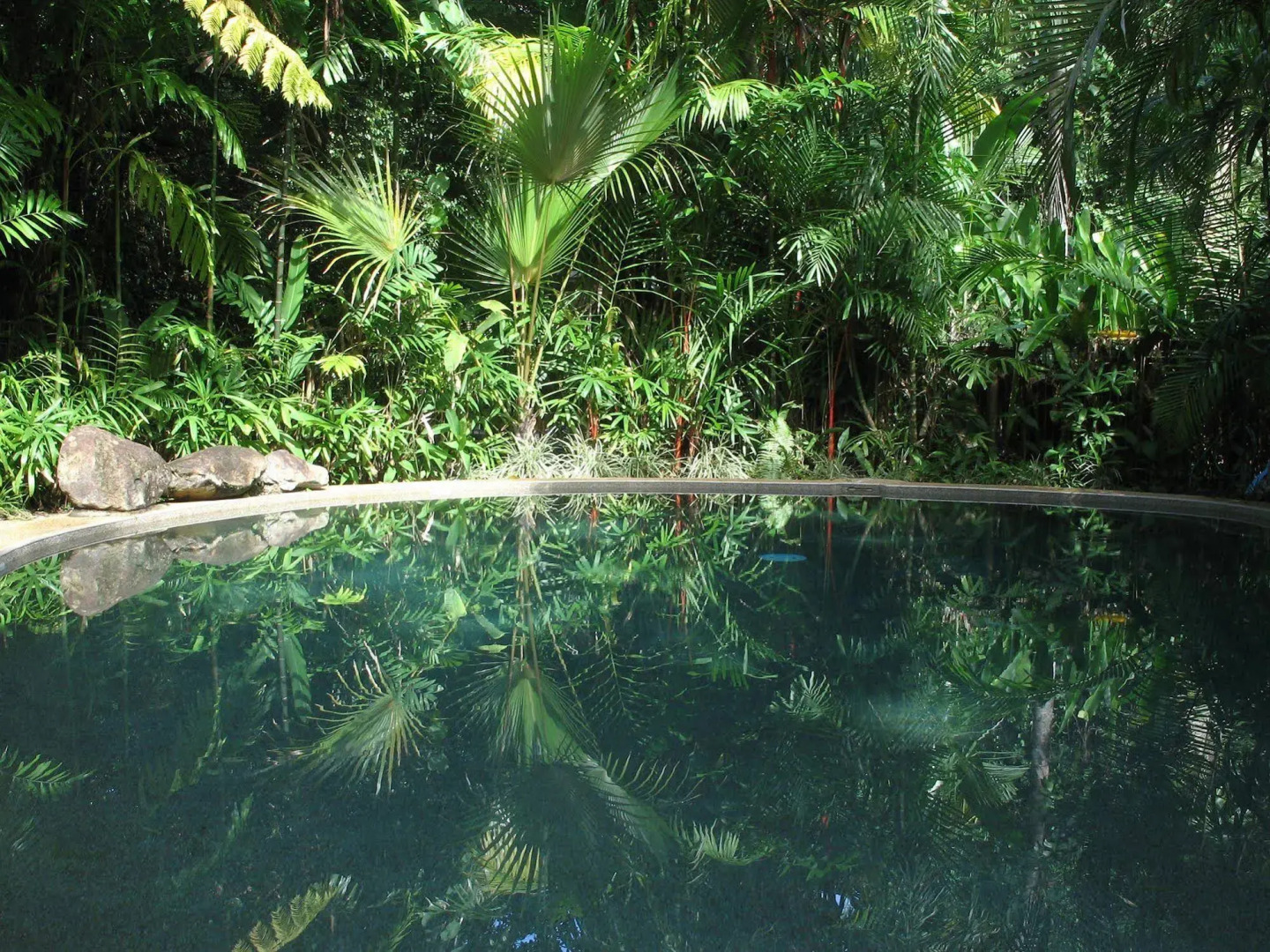 Daintree Rainforest Retreat