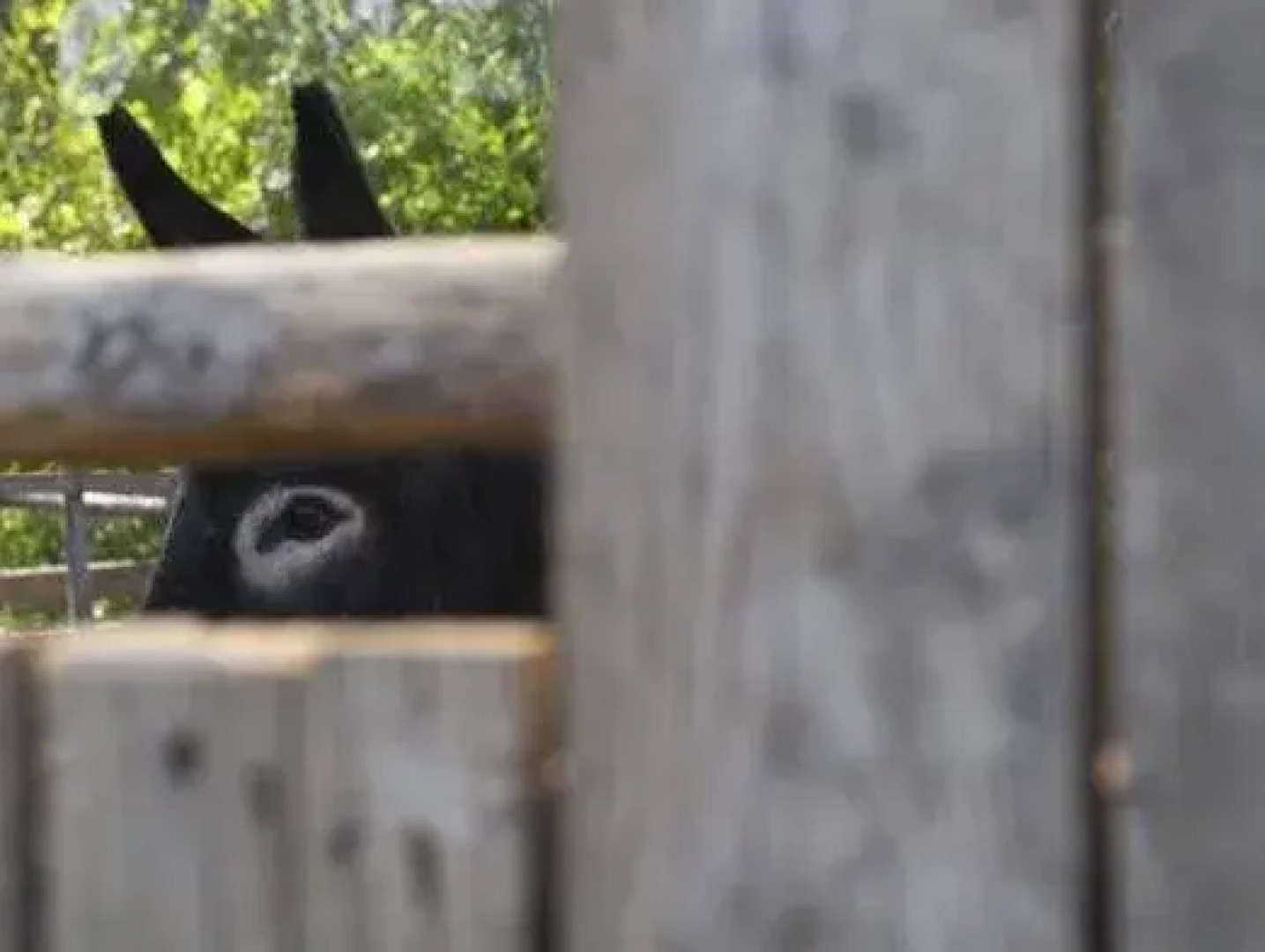 Country House Biroccio