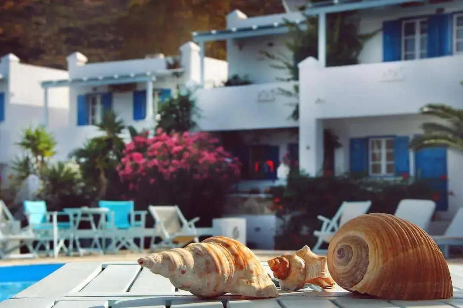 Island House Apartments