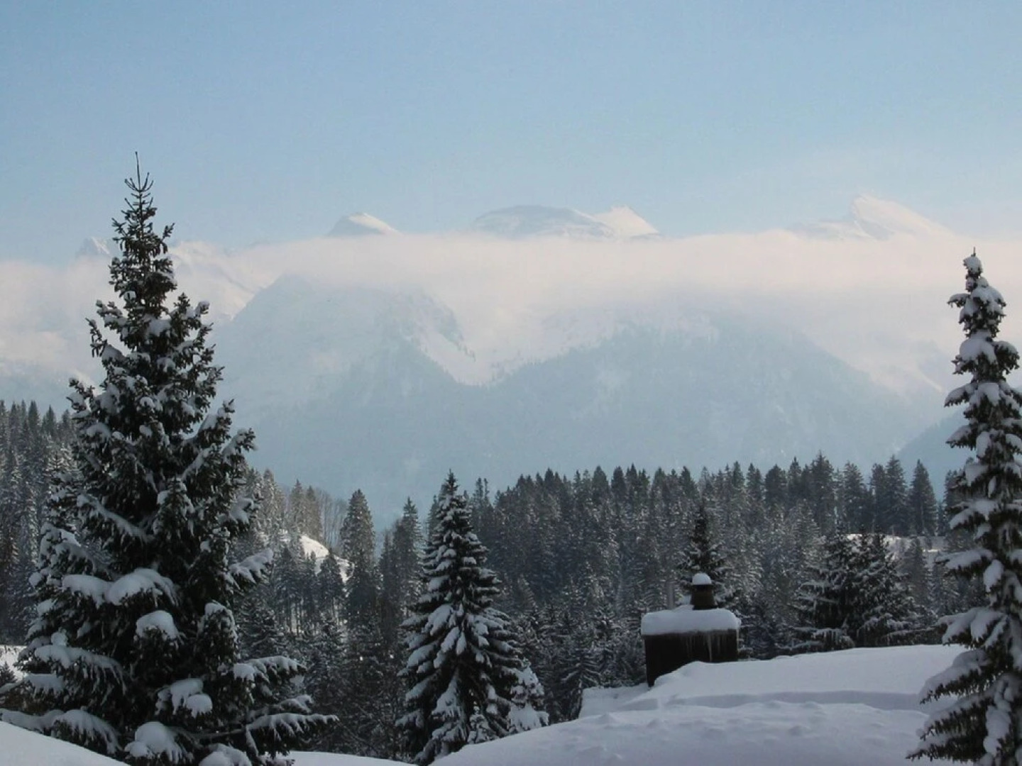 Apartment Kaiser D19 Amden