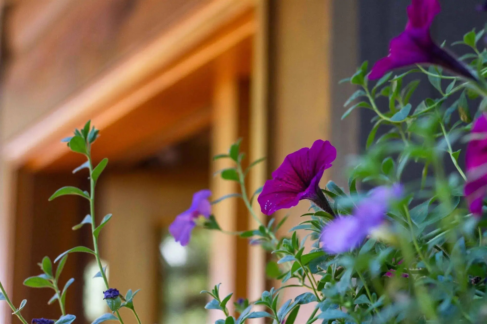 Tranquility Bay Waterfront Inn