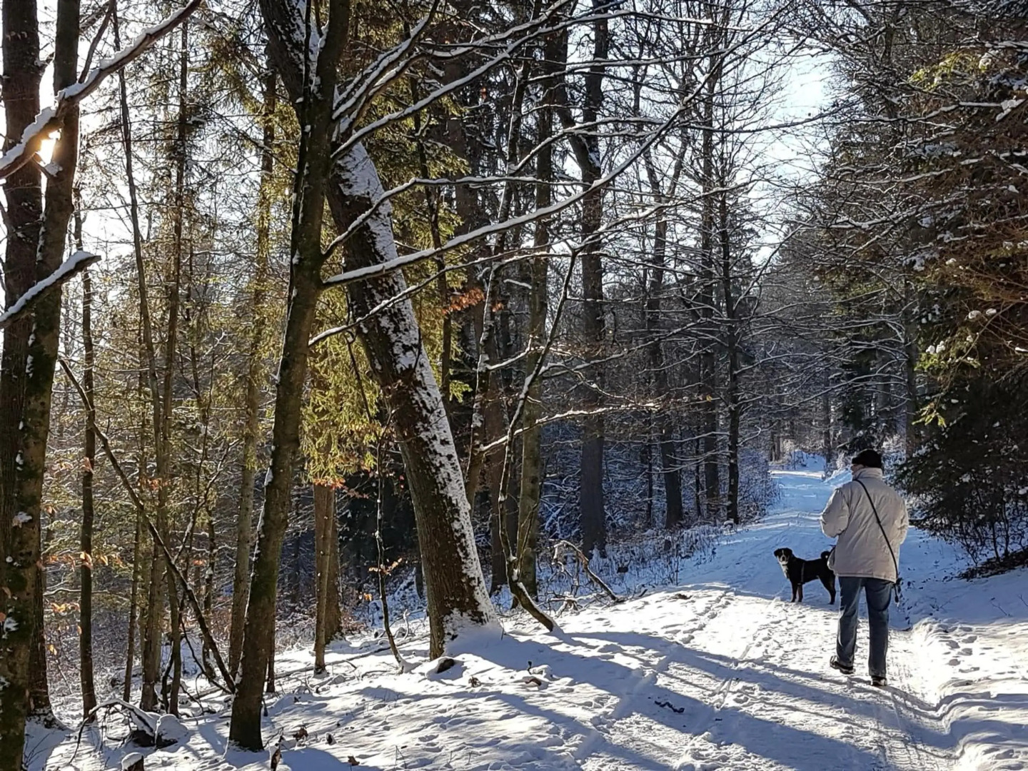 Ferienhaus "Am Gehre"