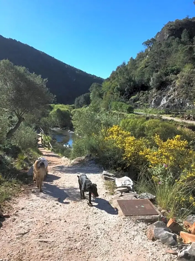 Romantic Private Cabin