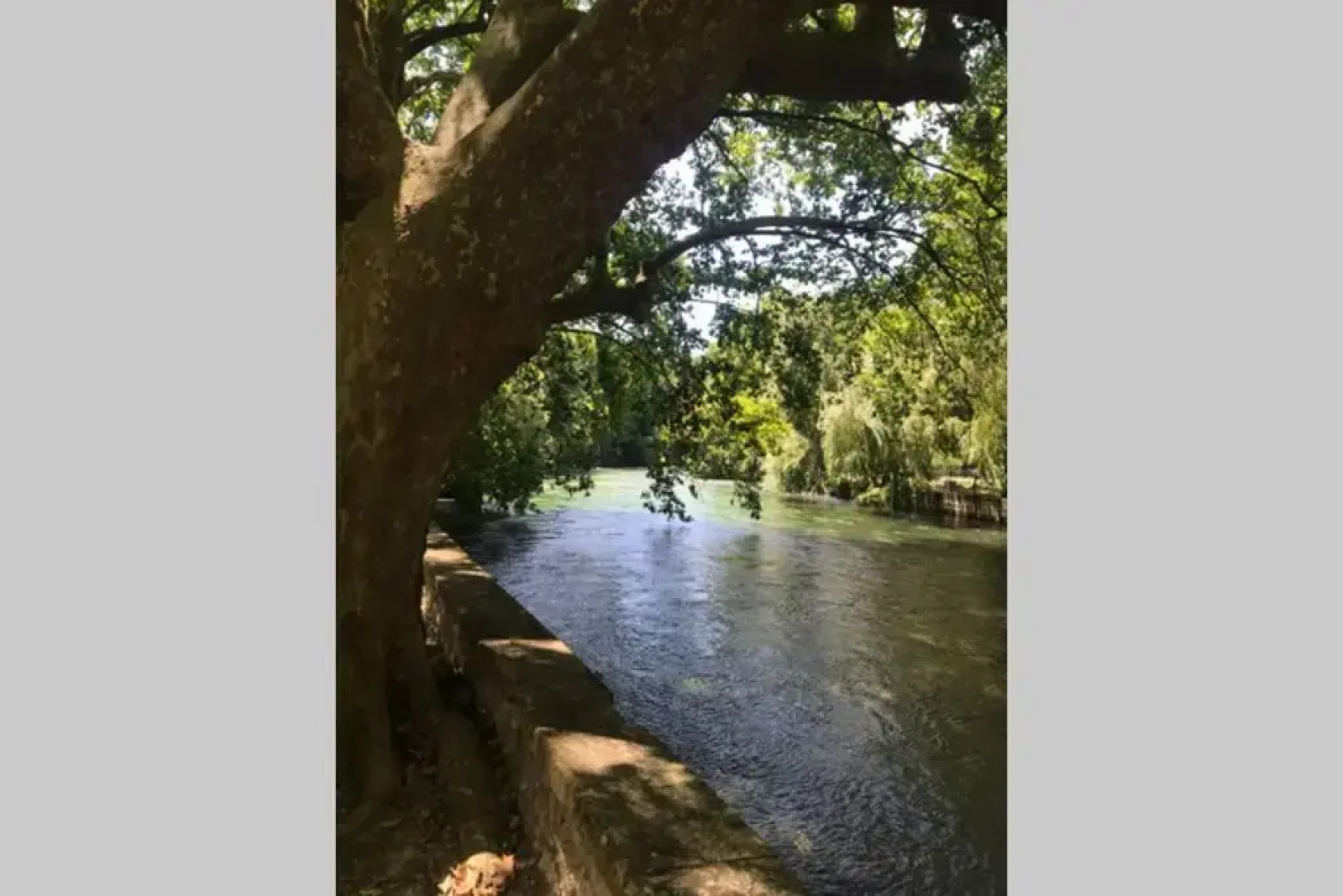 Appartement avec vue sur la Sorgue