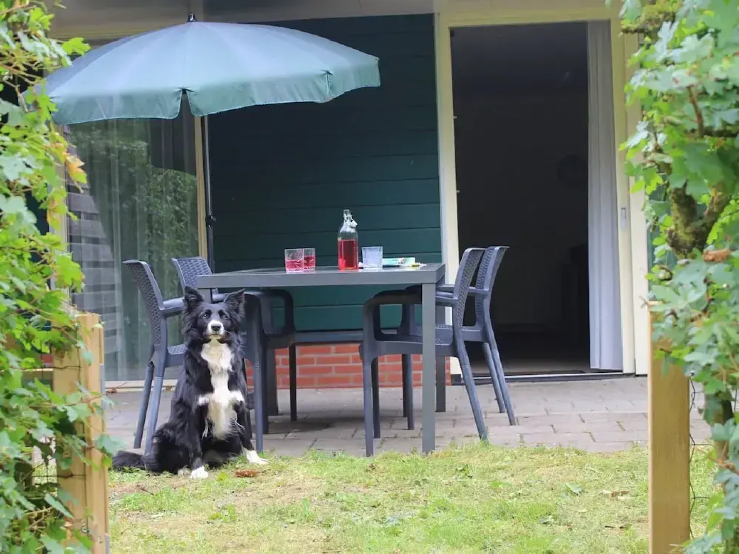 Quiet Glade Stay With Kid