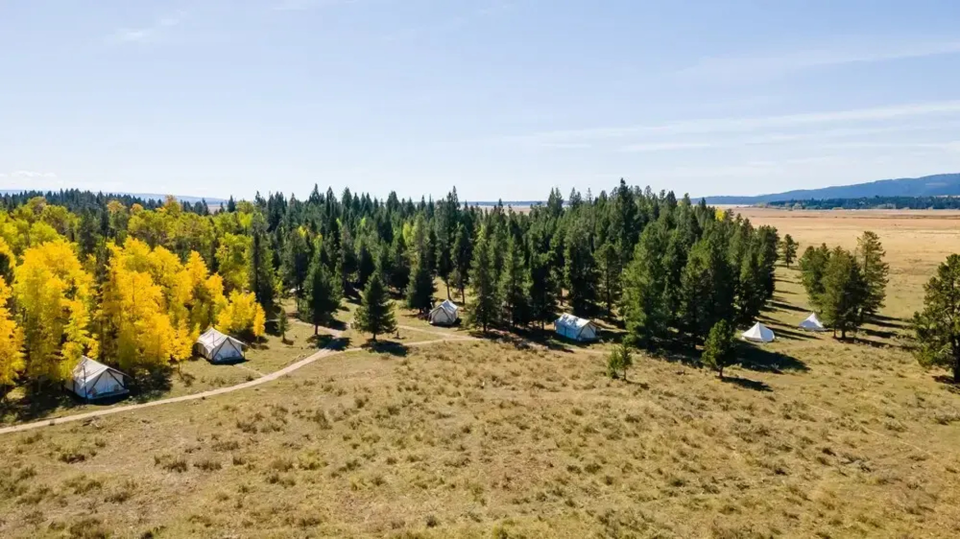Tammah - Yellowstone - Glamping