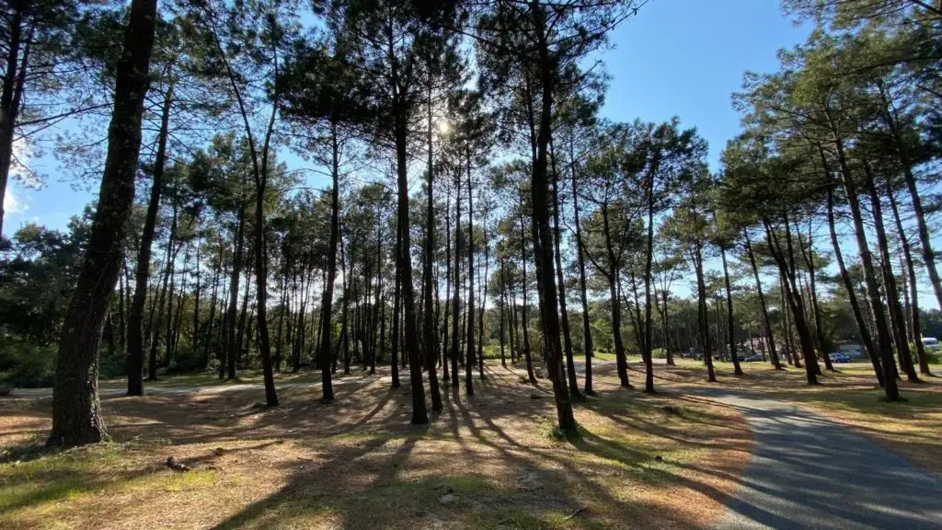 EcoKub T3 Proche plages Lacs, wifi